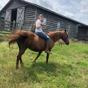 Meet your Posher, Scarlett